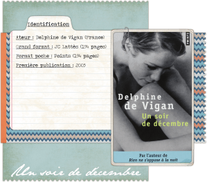 Vigan décembre blog